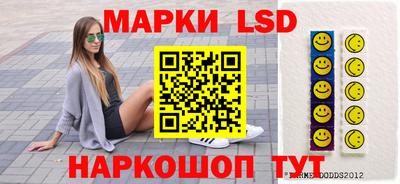 стаф Обнинск