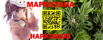 apvp Обь